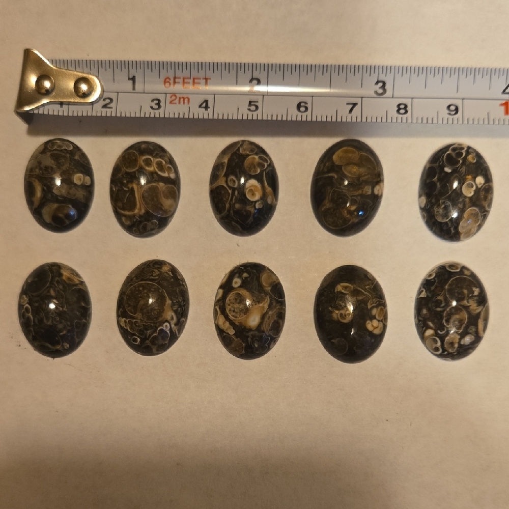 Polished ancient Jasper, ready to make something amazing with you.